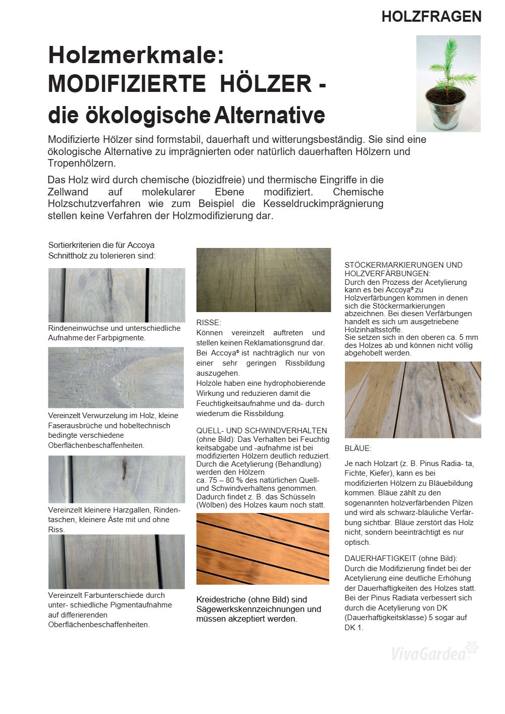 ACCOYA Holzmerkmale